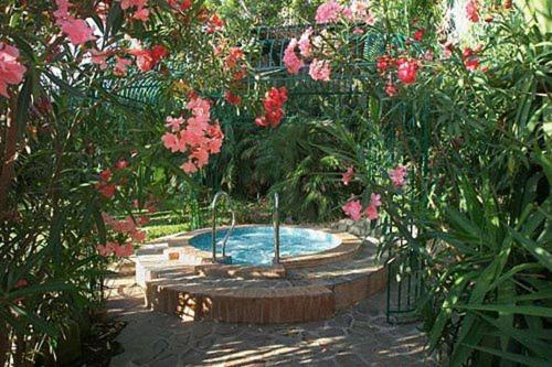 מרינה די קמפו Hotel Barracuda מראה חיצוני תמונה